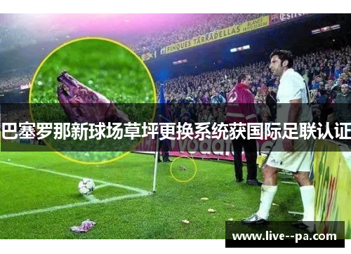 巴塞罗那新球场草坪更换系统获国际足联认证
